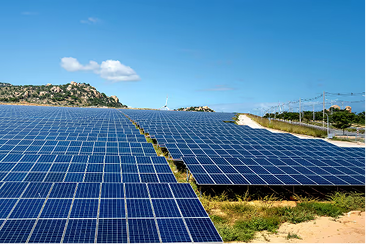 Sustainability Consulting